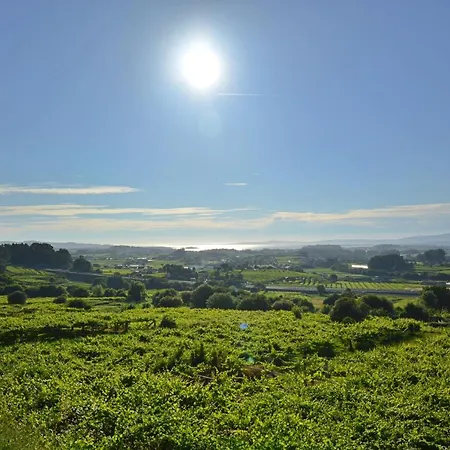 Da Pedra E Da Auga *